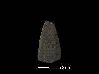 藏品(矛鏃形器)的圖片