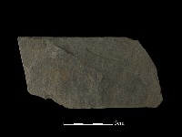 藏品(帶加工痕石材)的圖片