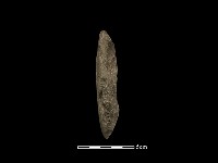 藏品(錛鑿形器)的圖片