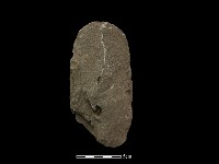 藏品(斧鋤形器)的圖片