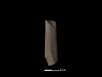 藏品(磨製石器)的圖片