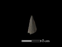 藏品(矛鏃形器)的圖片