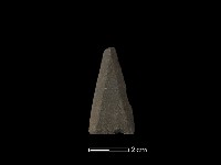 藏品(矛鏃形器)的圖片