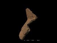 藏品(陶罐)的圖片