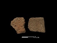 藏品(陶片)的圖片