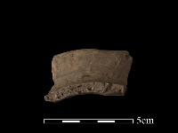 藏品(陶罐)的圖片