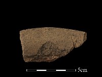 藏品(陶罐)的圖片