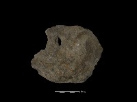 藏品(石片)的圖片