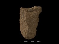 藏品(斧鋤形器)的圖片