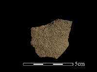 藏品(石片器)的圖片