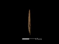 藏品(矛鏃形器)的圖片