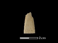 藏品(矛鏃形器)的圖片