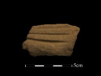 藏品(磨製石器)的圖片