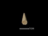 藏品(矛鏃形器)的圖片