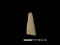 藏品(矛鏃形器)的圖片