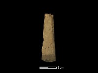 藏品(錛鑿形器)的圖片