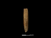 藏品(錛鑿形器)的圖片