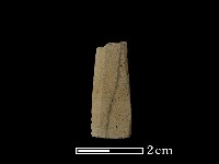 藏品(矛鏃形器)的圖片