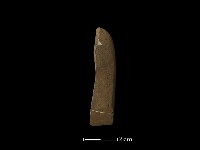 藏品(錛鑿形器)的圖片