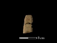 藏品(矛鏃形器)的圖片