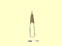 藏品(磨製石器)的圖片