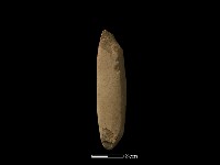 藏品(錛鑿形器)的圖片