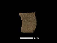 藏品(石鋸)的圖片