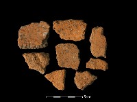 藏品(陶片)的圖片