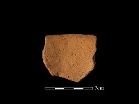 藏品(口緣殘片)的圖片