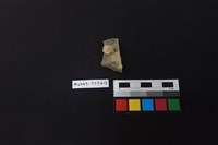 藏品(陶片)的圖片