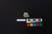 藏品(陶片)的圖片