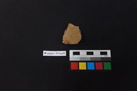 藏品(陶片)的圖片