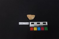 藏品(陶片)的圖片