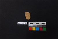 藏品(陶片)的圖片