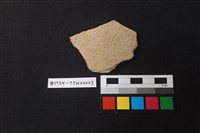 藏品(陶片)的圖片