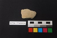 藏品(陶片)的圖片