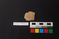 藏品(陶片)的圖片