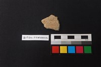 藏品(陶片)的圖片