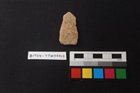 藏品(陶片)的圖片