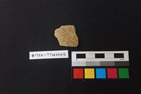 藏品(陶片)的圖片