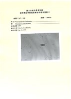 藏品()的圖片