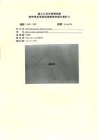 藏品()的圖片