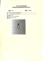藏品()的圖片