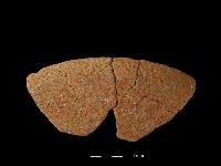 藏品(陶盤)的圖片