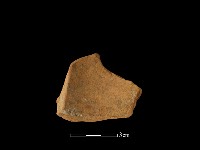 藏品(連杯形器)的圖片