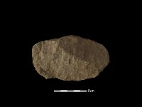 藏品(石刀)的圖片