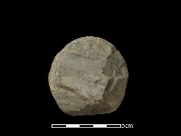 藏品(石球)的圖片