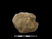 藏品(石球)的圖片