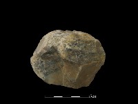 藏品(石球)的圖片