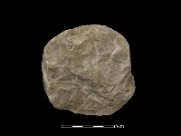 藏品(石材)的圖片